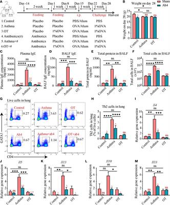 Oral antibiotics relieve allergic asthma in post-weaning mice via reducing iNKT cells and function of ADRB2